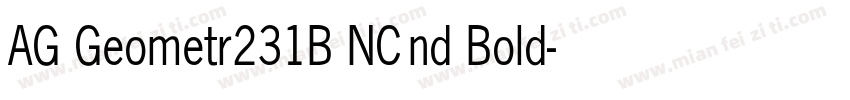 AG Geometr231B NCnd Bold字体转换